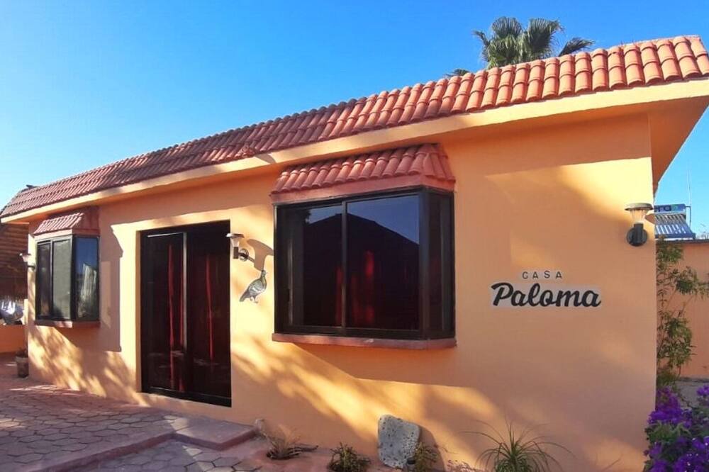 Photo of Others in Cabo Pulmo