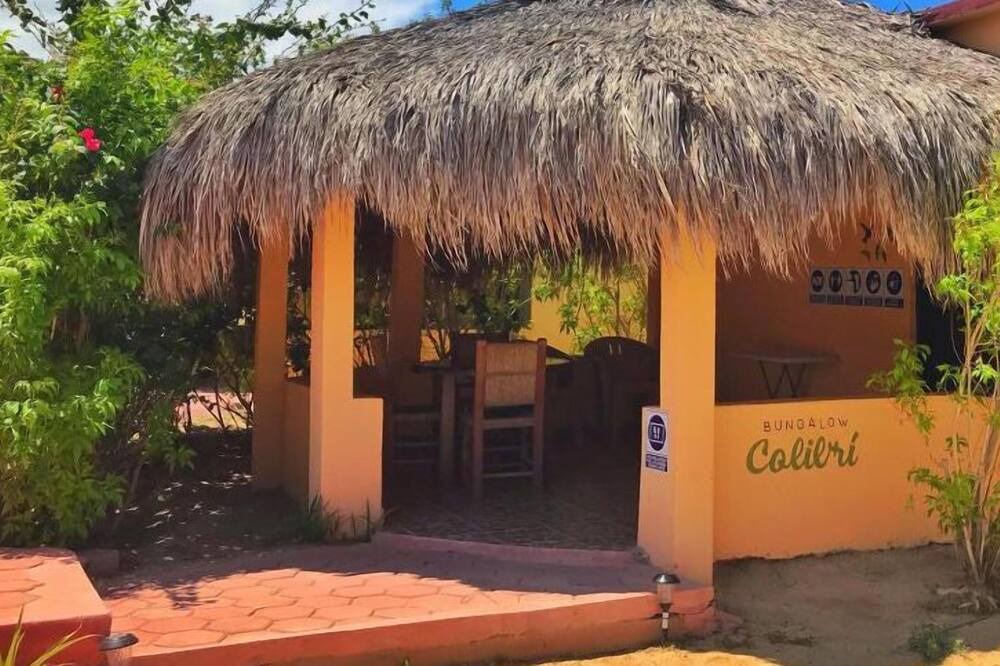 Photo of Others in Cabo Pulmo