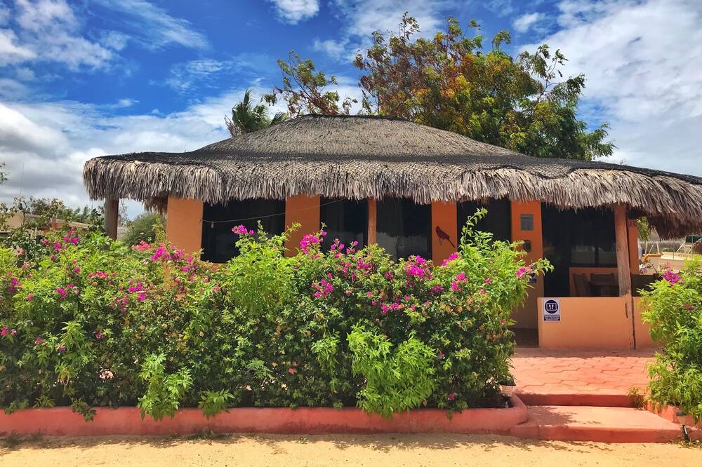 Photo of Outdoor in Cabo Pulmo