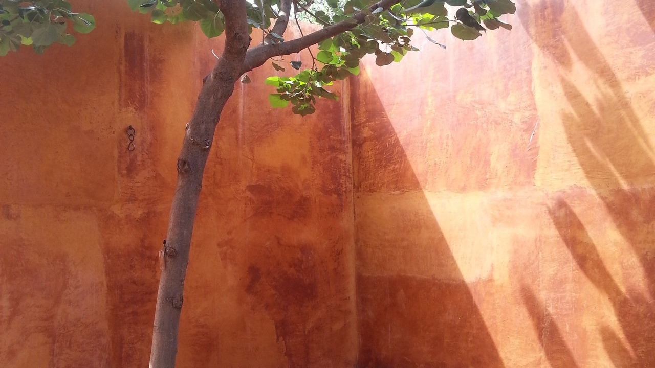 Photo of Others in San Jeronimo Tlacochahuaya
