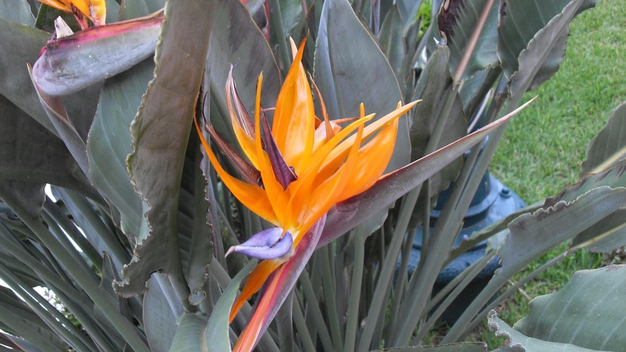 Photo of Outdoor in Catemaco