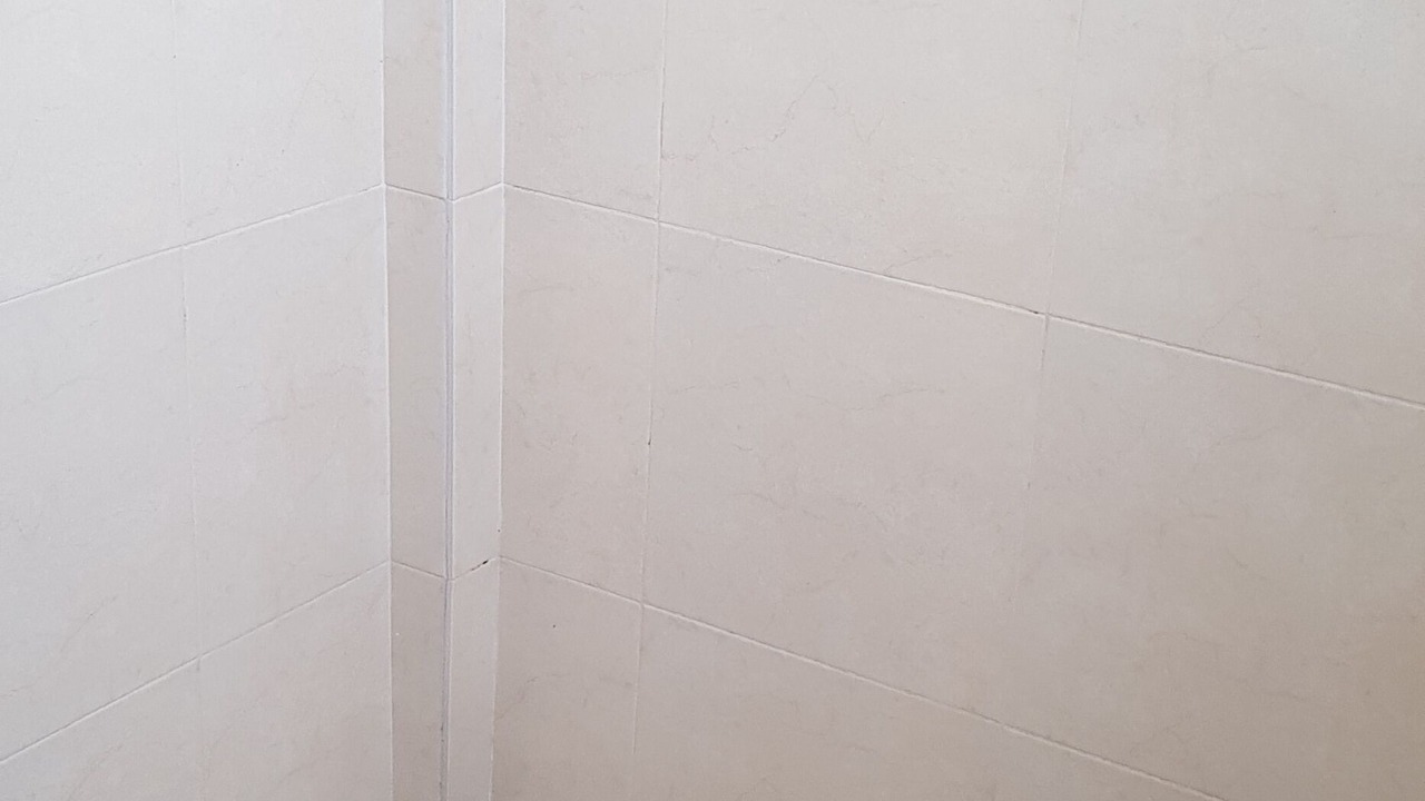 Photo of Bathroom in Zona Expo