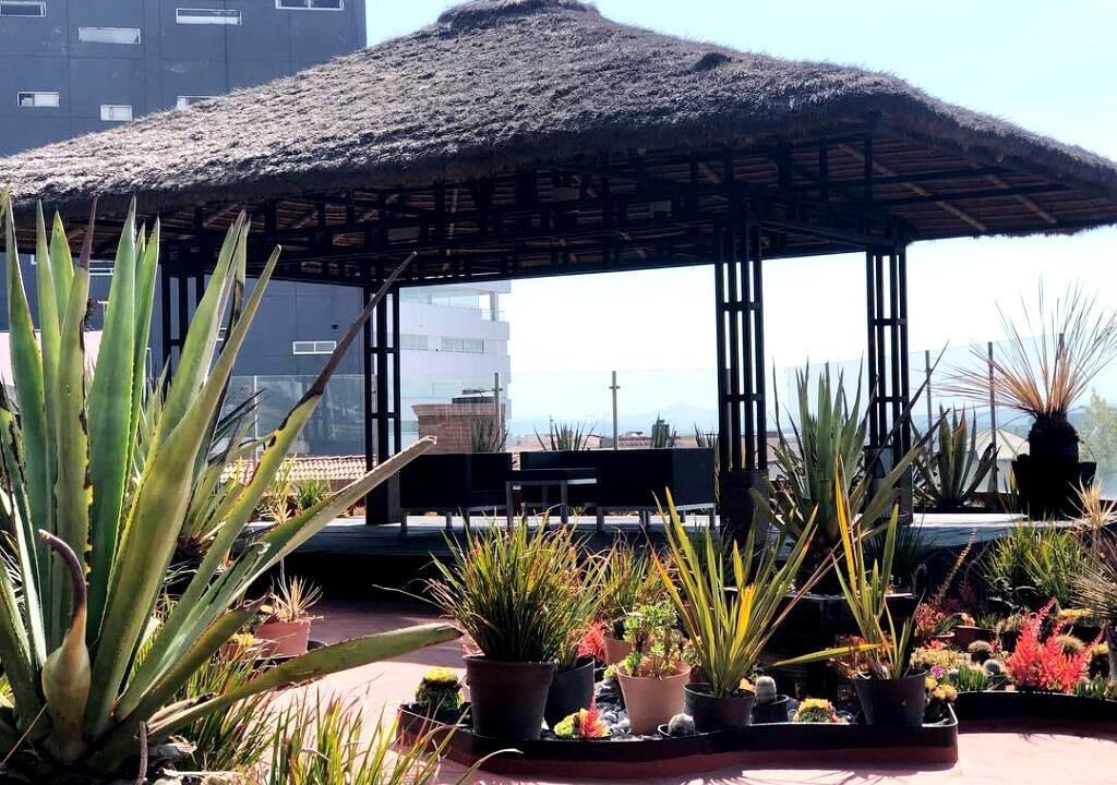 Photo of Patio Balcony in Pachuca de Soto