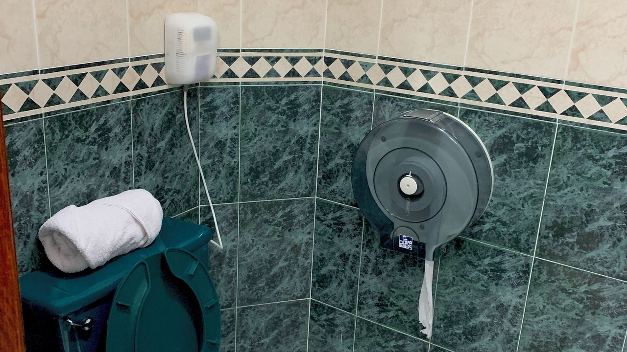 Photo of Bathroom in Mazamitla