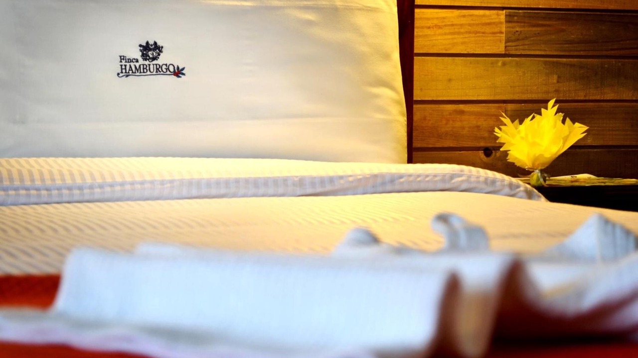 Photo of Bedroom in Tapachula