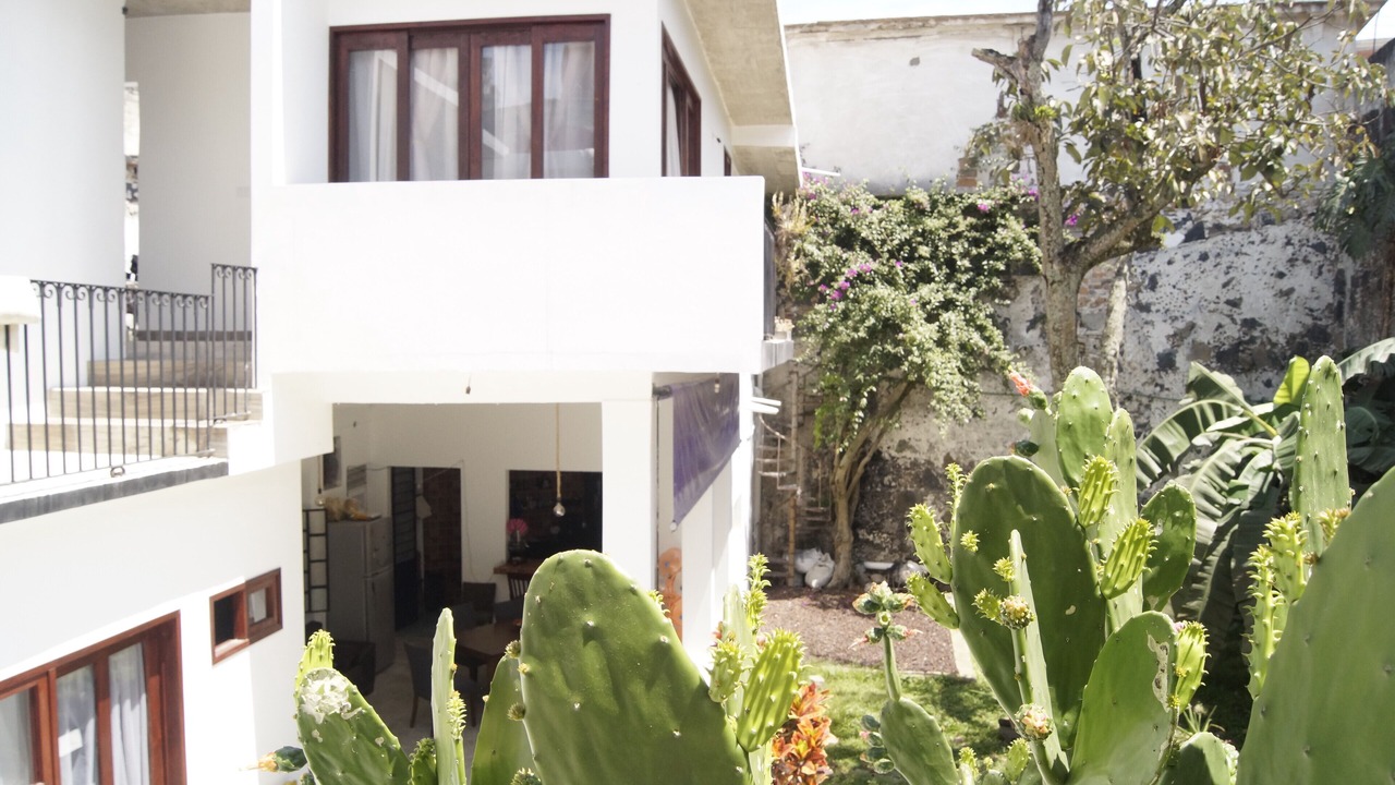Photo of Others in Xalapa