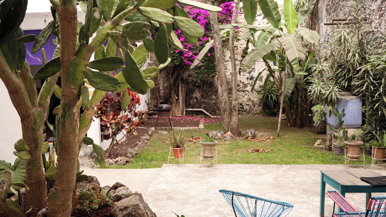 Photo of Others in Xalapa
