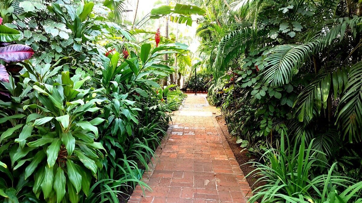Photo of Outdoor in Fluvial Vallarta