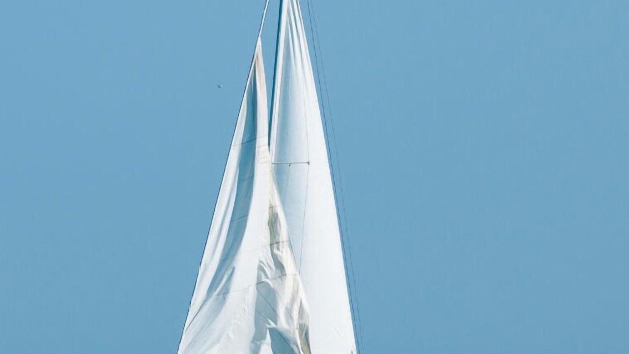 Photo of Others in Fluvial Vallarta