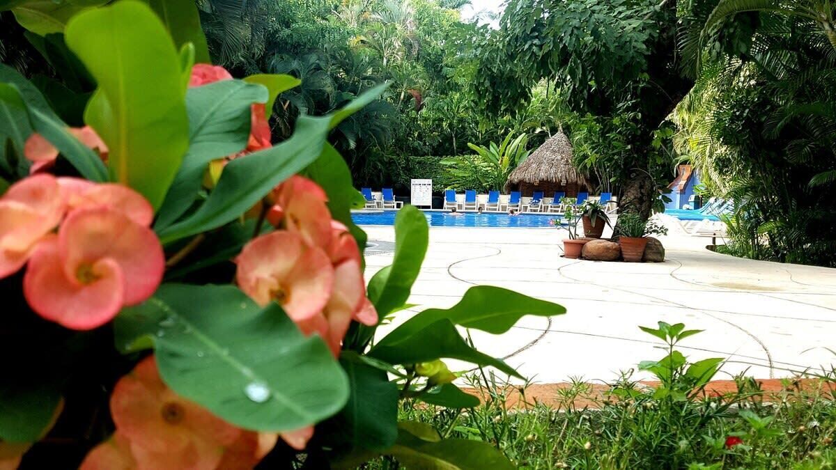 Photo of Outdoor in Fluvial Vallarta