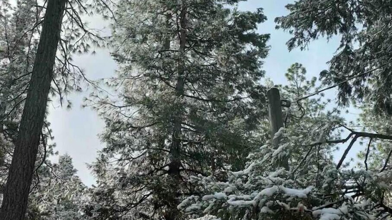 Photo of Outdoor in Volcano