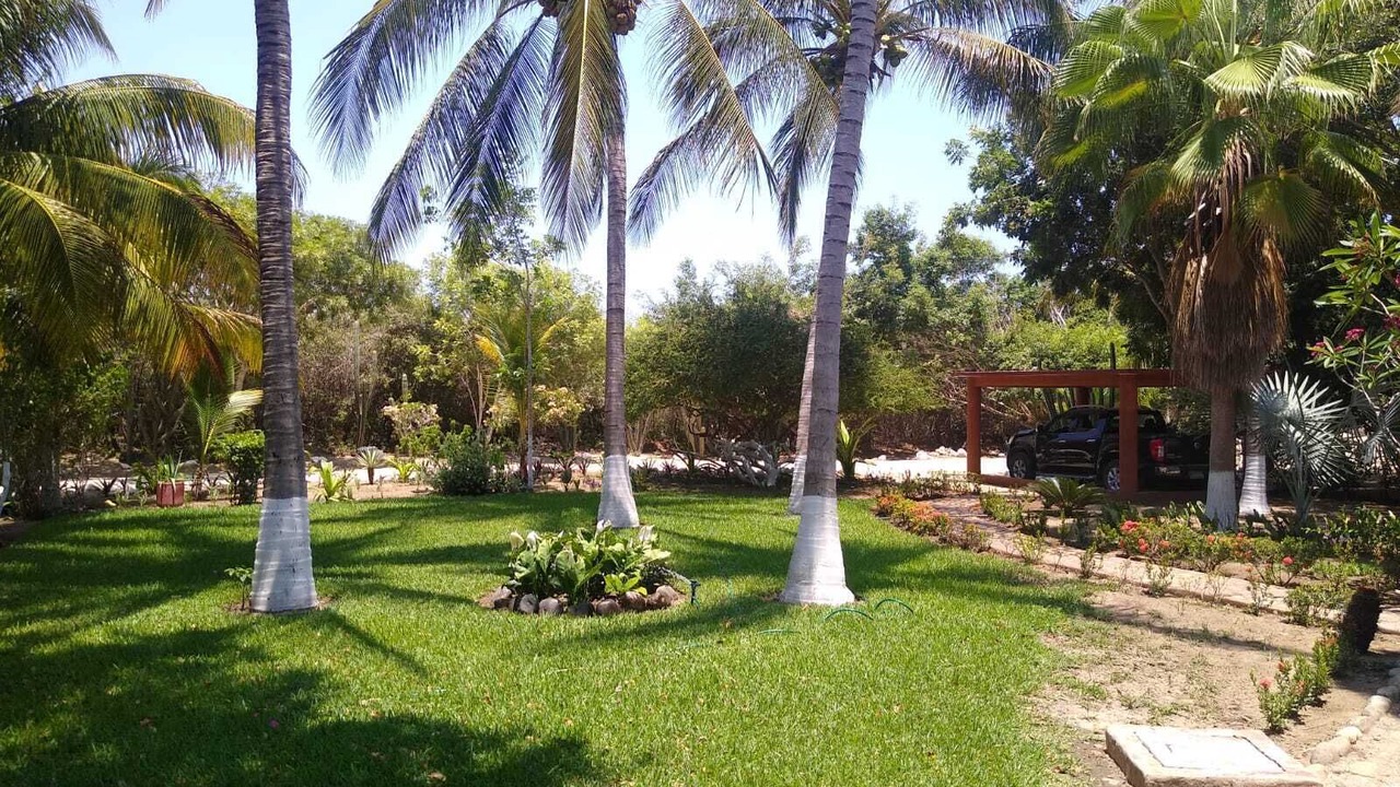 Photo of Outdoor in Bacocho