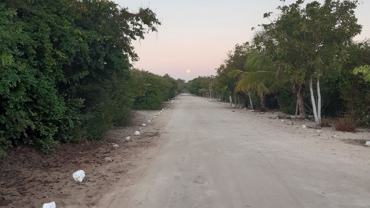 Photo of Others in Bacocho