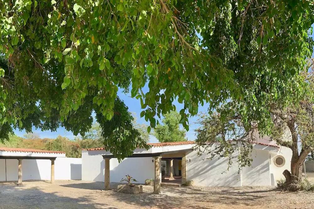 Photo of Outdoor in Ajijic