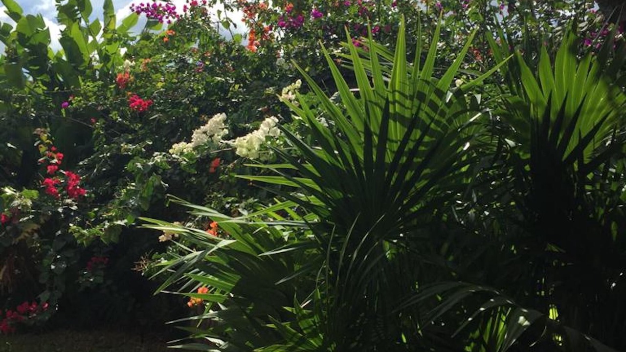 Photo of Outdoor in Campeche
