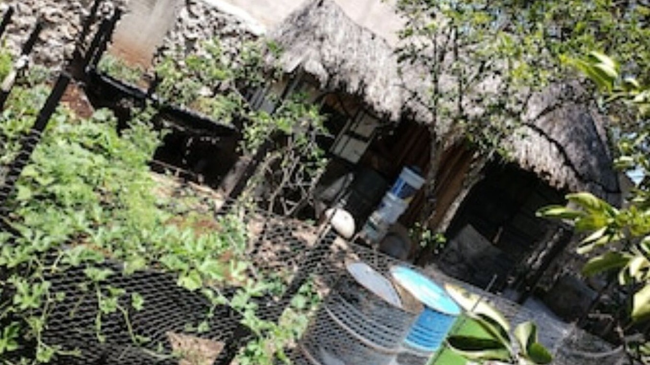 Photo of Outdoor in Izamal