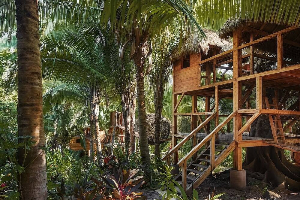 Photo of Outdoor in Lo de Marcos