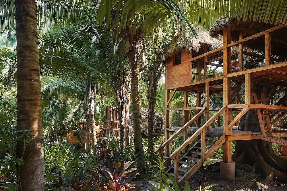Photo of Outdoor in Lo de Marcos