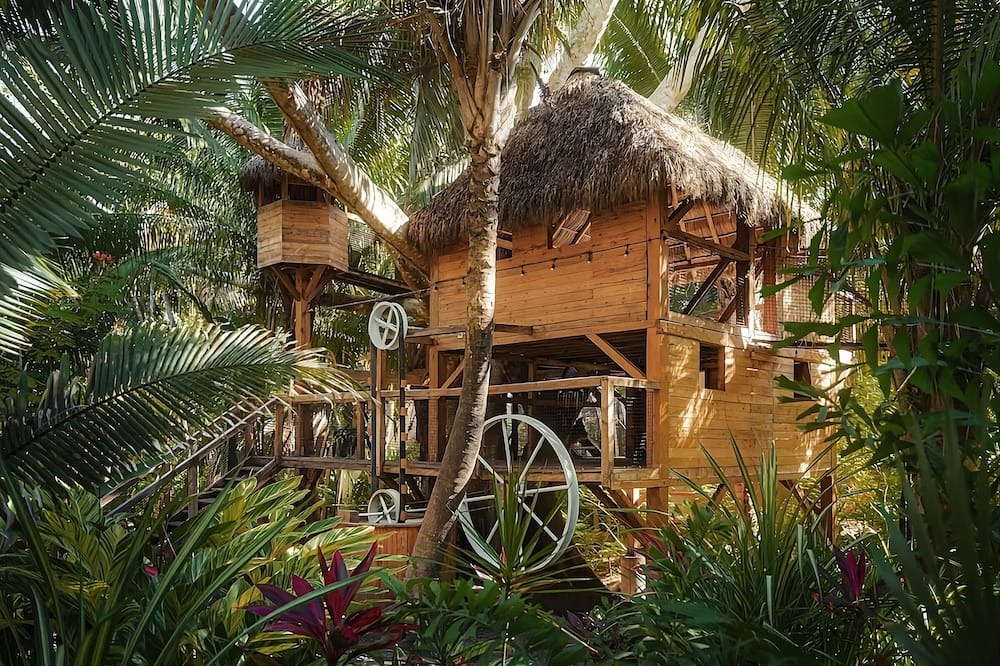 Photo of Outdoor in Lo de Marcos