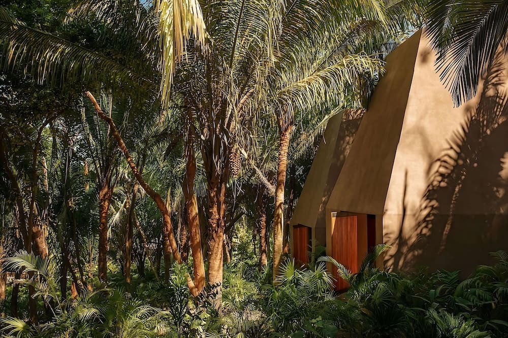 Photo of Outdoor in Lo de Marcos