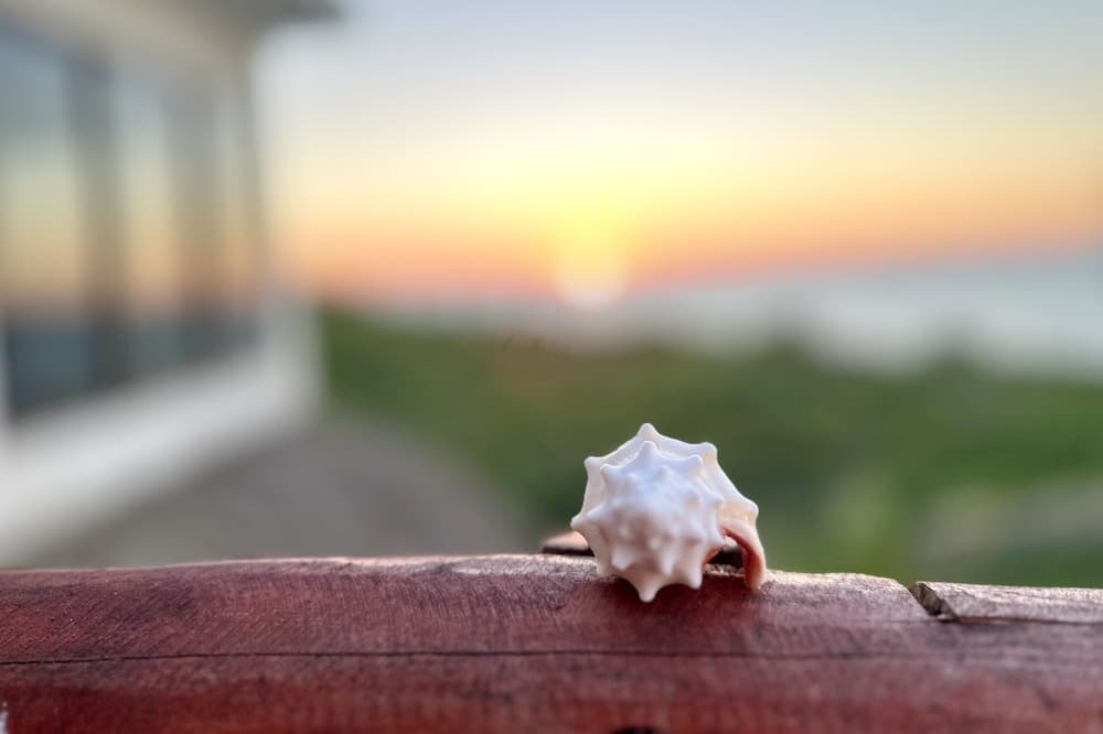 Photo of Outdoor in Sisal