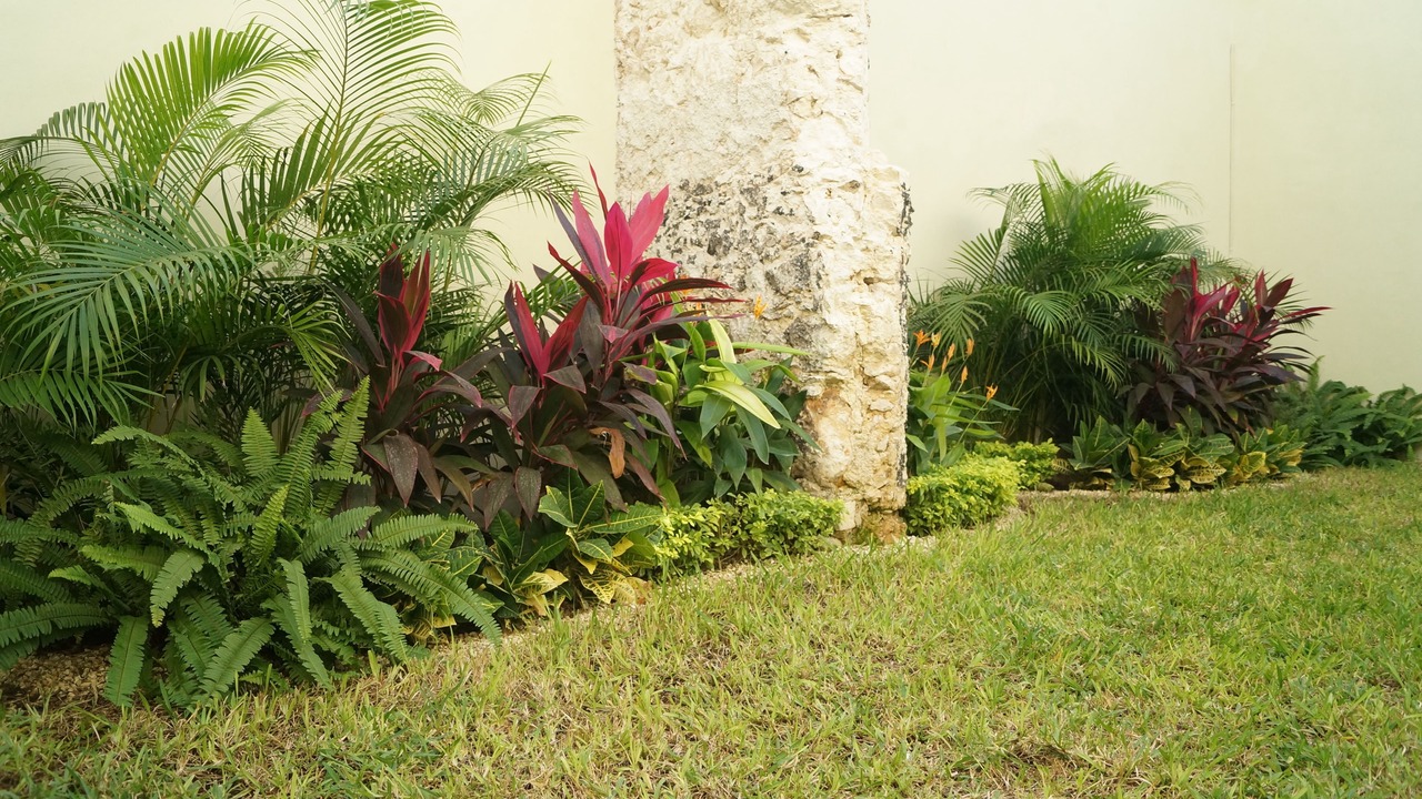 Photo of Outdoor in Zona Paseo Montejo