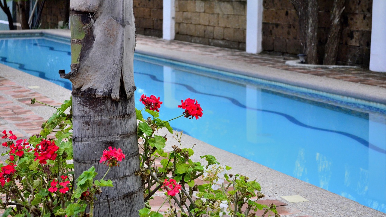 Photo of Outdoor in San Miguel de Allende