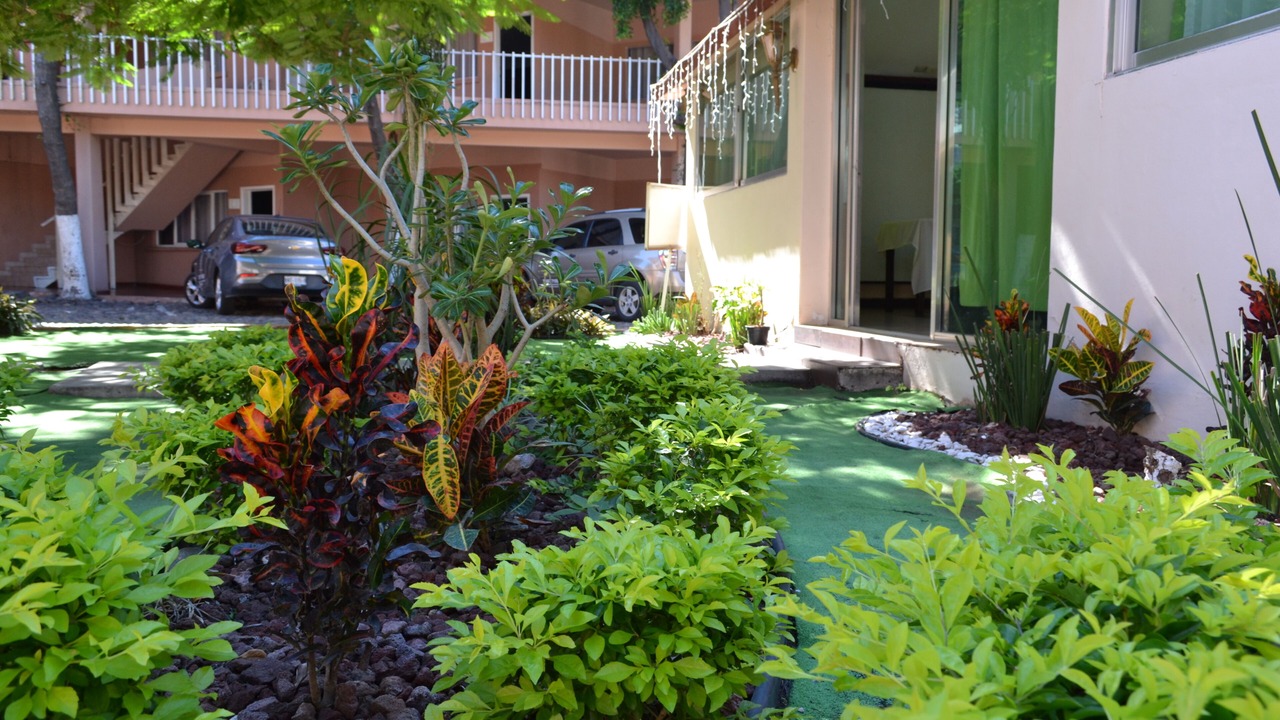 Photo of Outdoor in Culiacan