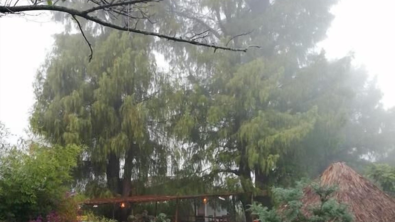 Photo of Outdoor in Tzimol