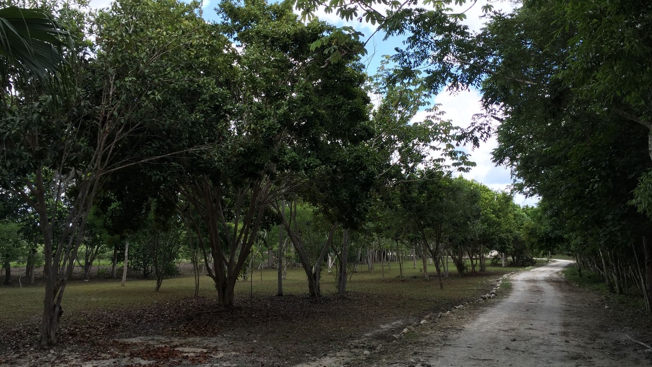 Photo of Outdoor in Xpujil