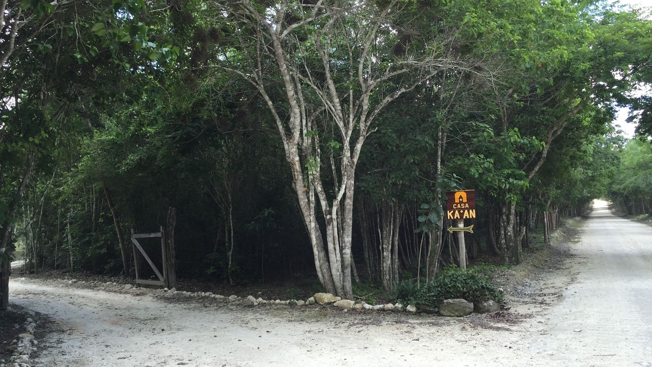 Photo of Outdoor in Xpujil