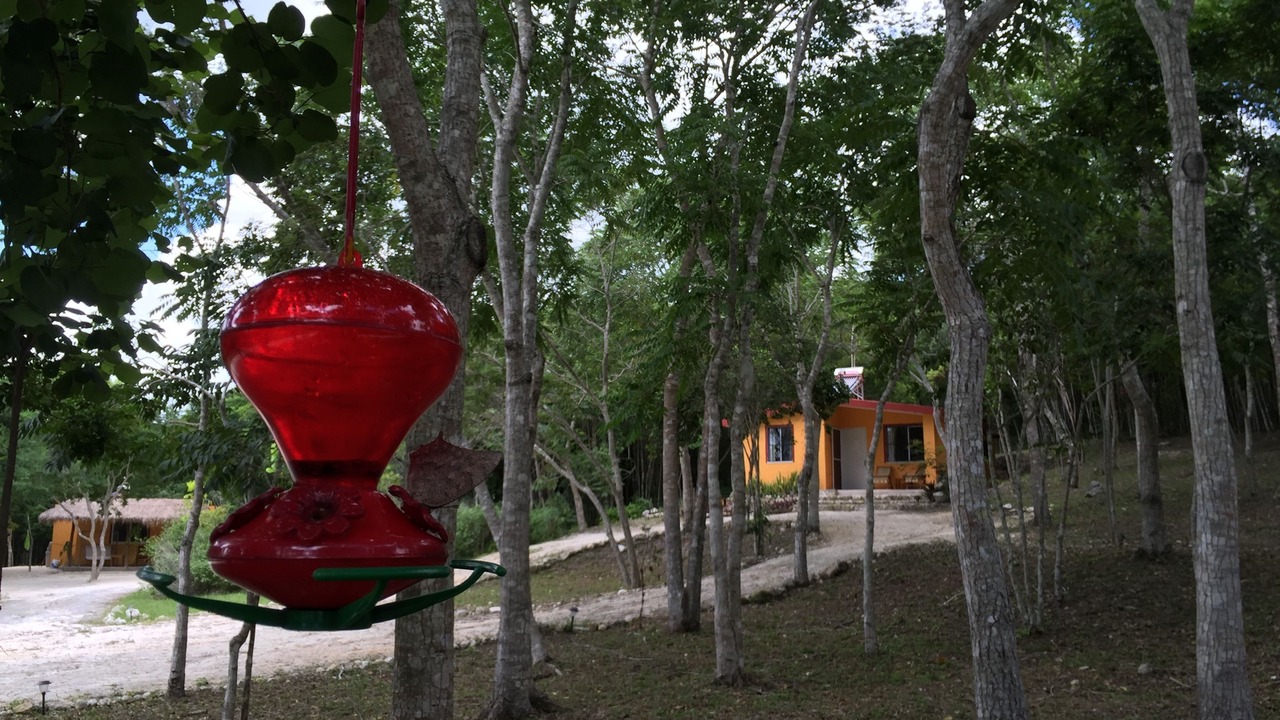 Photo of Outdoor in Xpujil