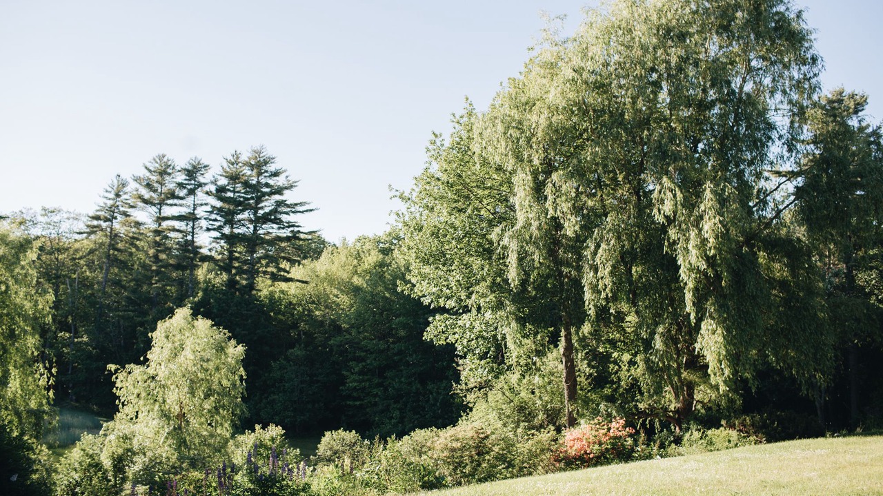 Photo of Outdoor in Westport