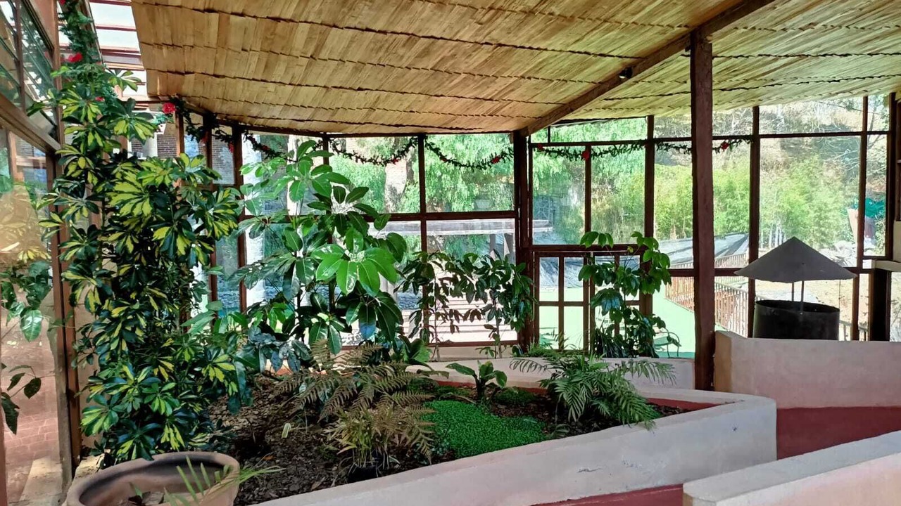 Photo of Outdoor in El Oro