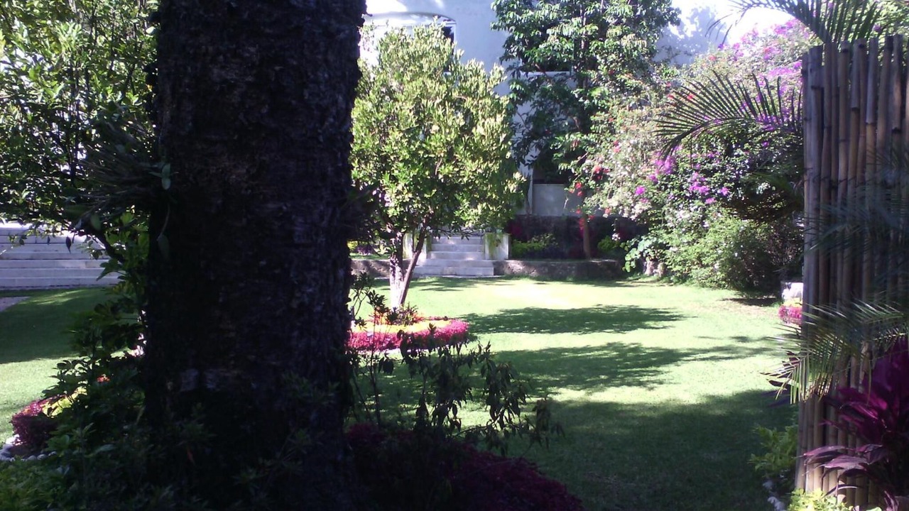 Photo of Outdoor in San Miguel