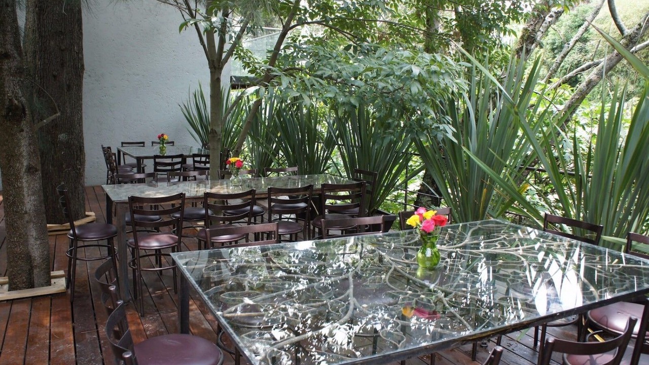 Photo of Others in San Miguel