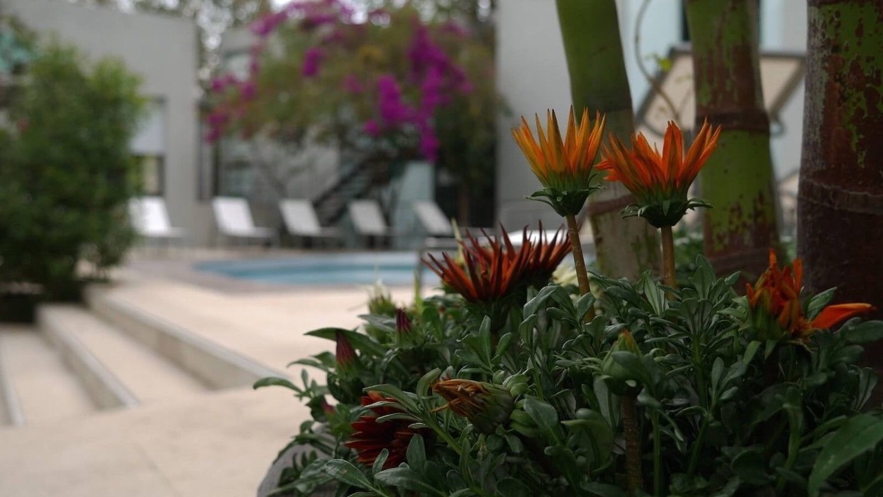 Photo of Outdoor in San Miguel