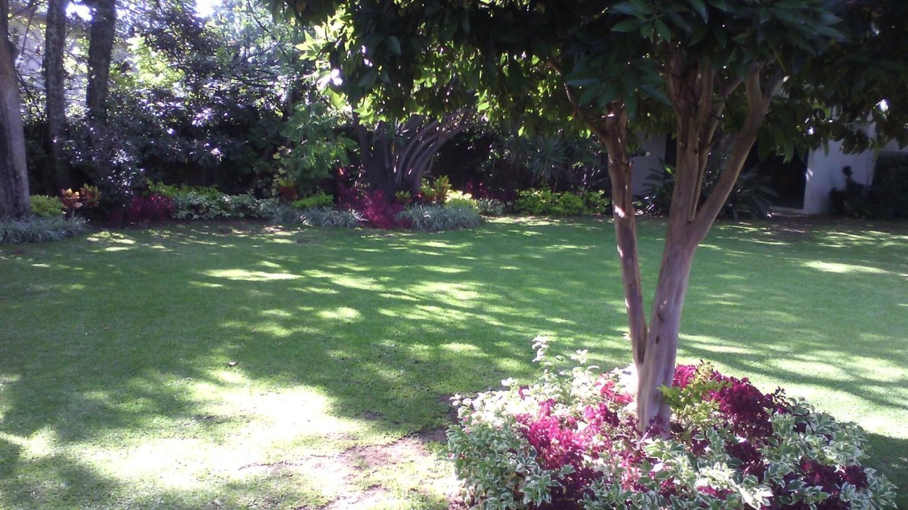 Photo of Outdoor in San Miguel