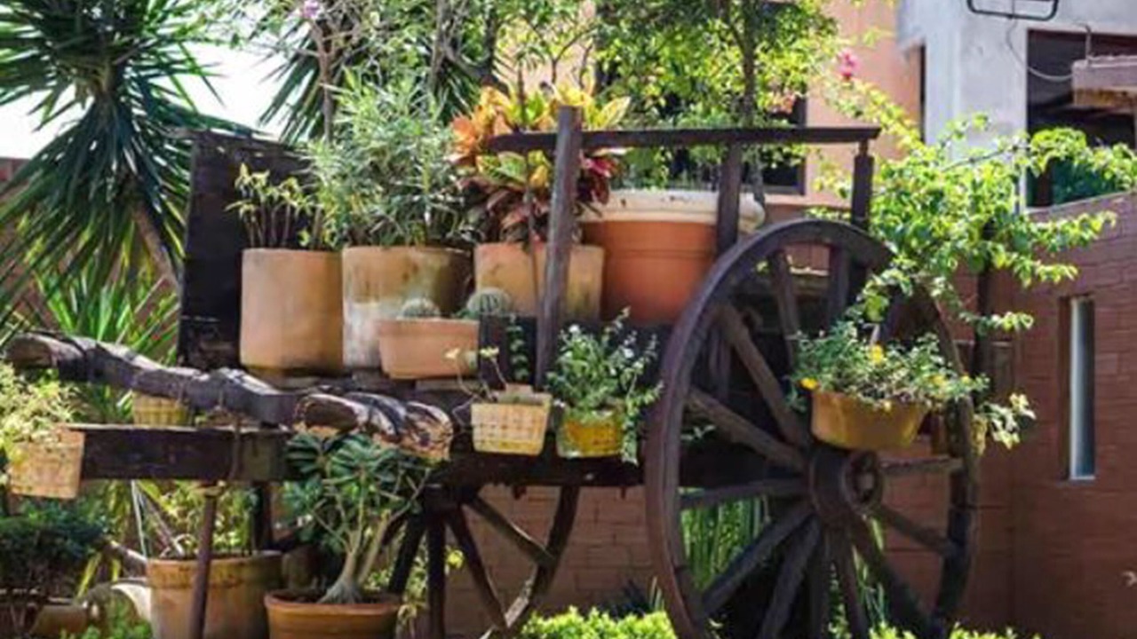 Photo of Outdoor in San Juan Bautista Tuxtepec