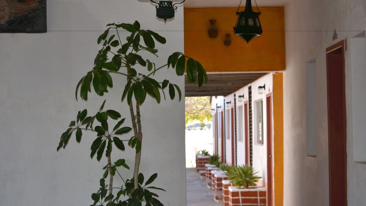 Photo of Others in Verdugo