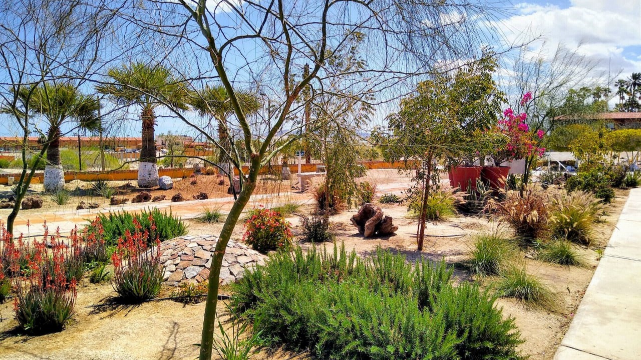 Photo of Outdoor in Verdugo
