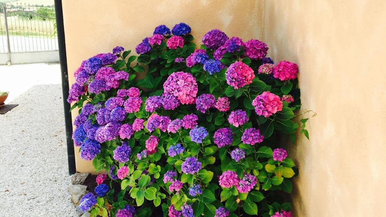 Photo of Outdoor in Saturnia