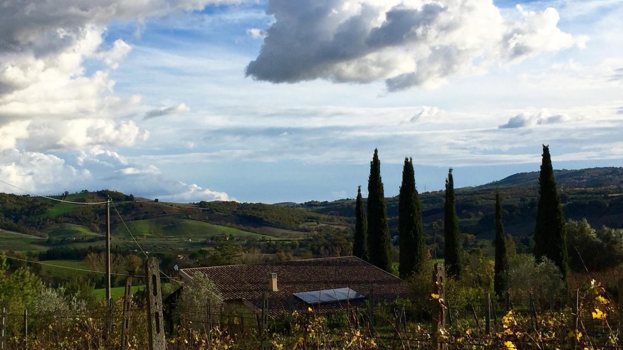 Photo of Outdoor in Saturnia