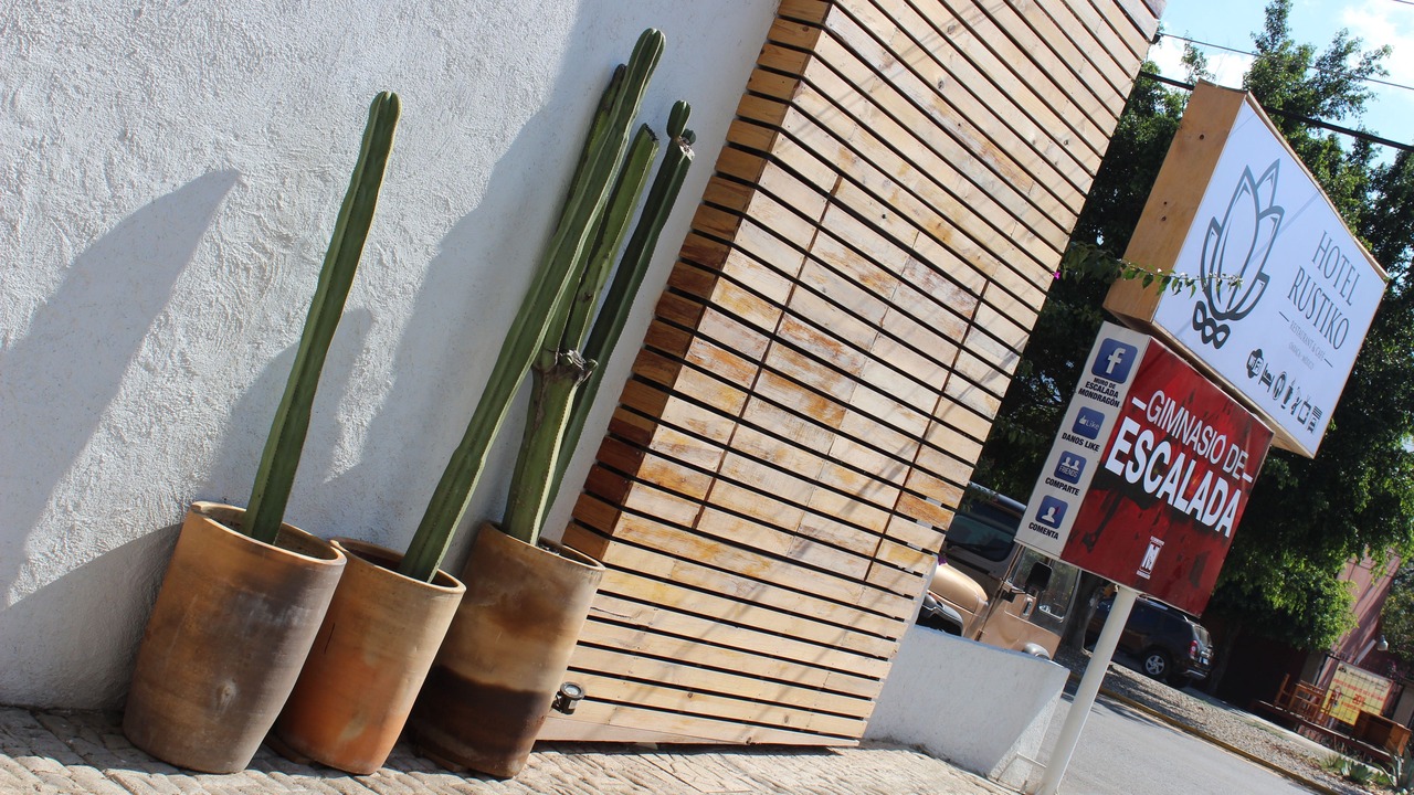 Photo of Others in San Sebastian Tutla