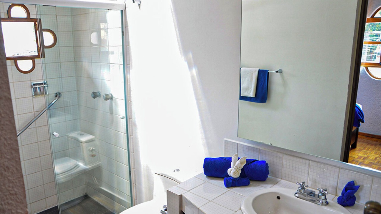 Photo of Bathroom in Coyoacan