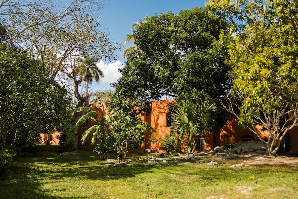 Photo of Outdoor in Chichen Itza