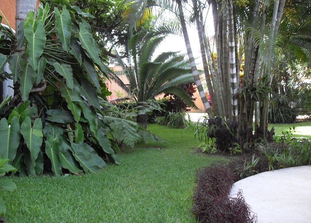 Photo of Outdoor in Catemaco