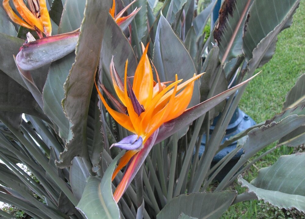 Photo of Outdoor in Catemaco