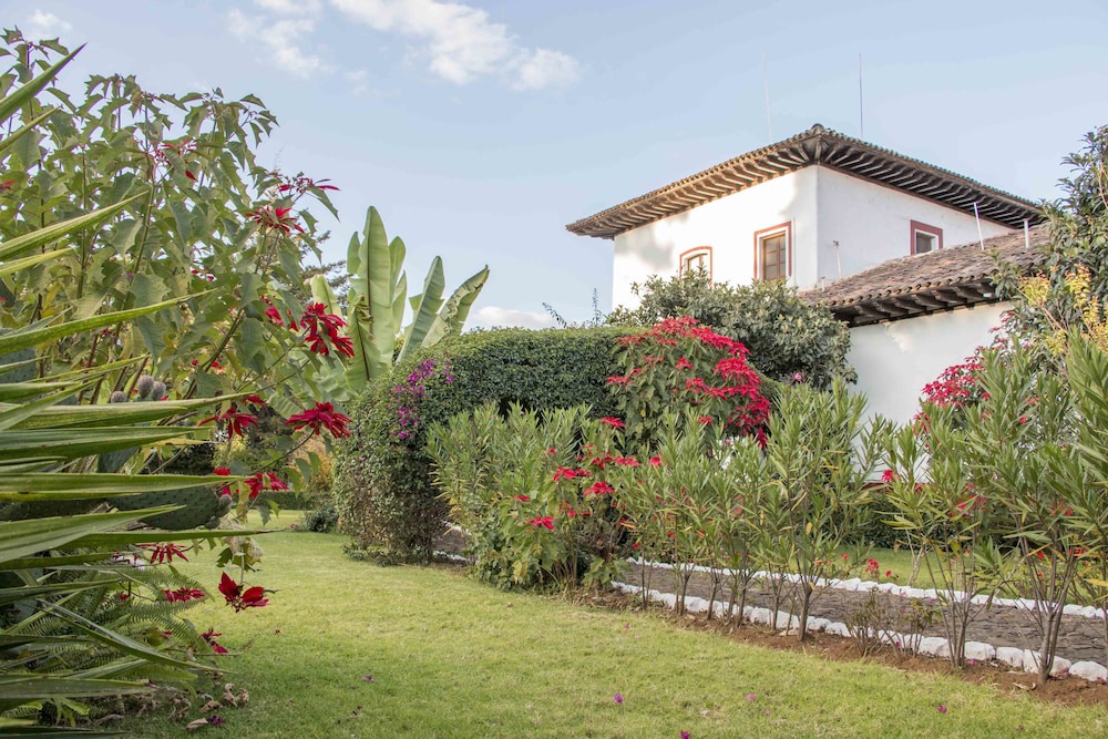 Photo of Outdoor in Patzcuaro
