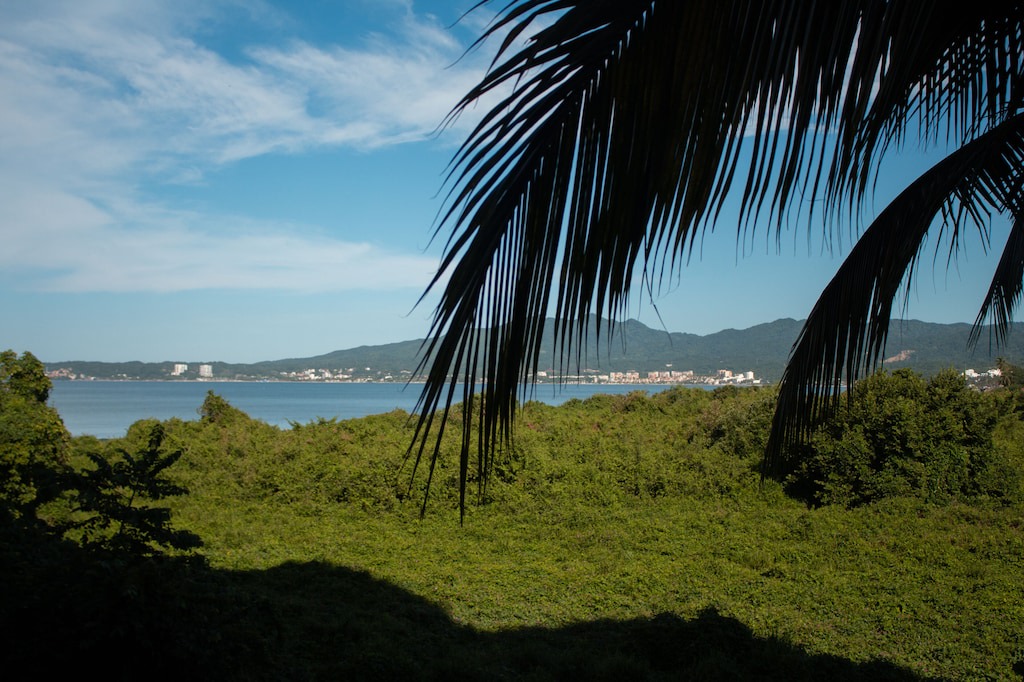 Photo of Outdoor in Flamingos